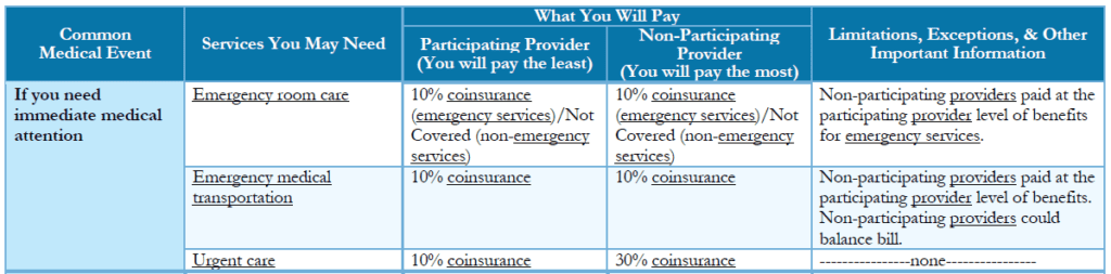 example summary of benefits and coverage SBC